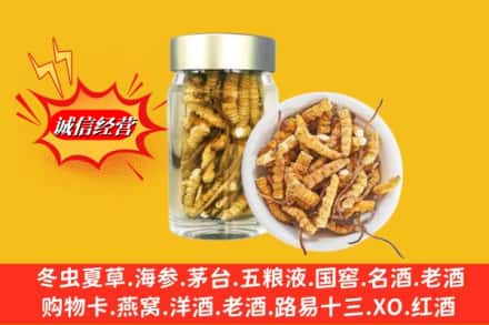 赤峰市元宝山名酒回收散虫草.jpg